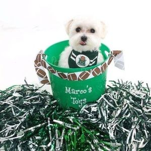 Meet your Posher, Kari